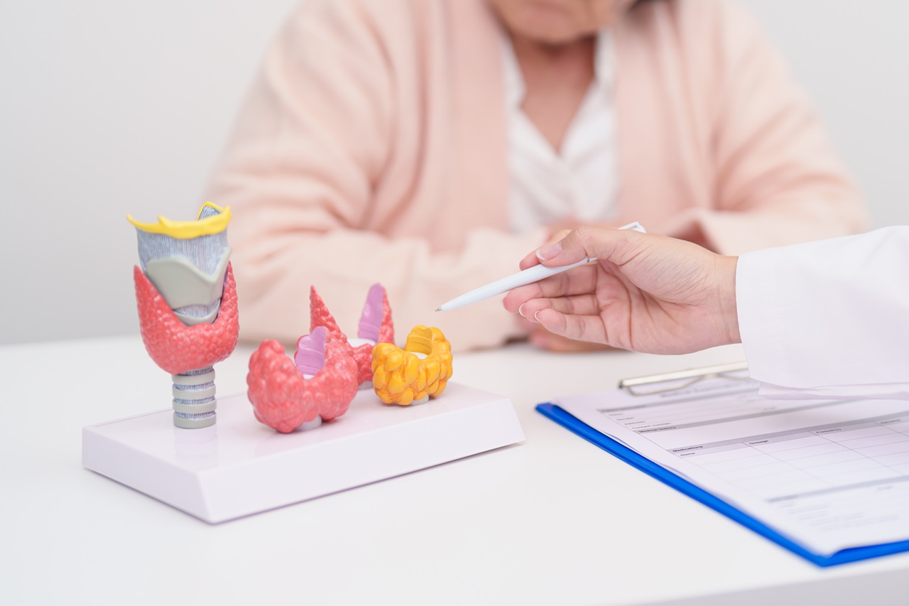 Elderly Patient having Neck pain and consulting with Doctor to Thyroid disease. Anatomy Thyroid model for Hyperthyroidism, Hypothyroidism, Hashimoto Thyroiditis, Thyroid Tumor and Cancer
