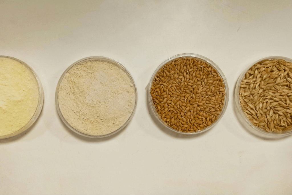 Dietetyk sylwia leszczyńska (33)