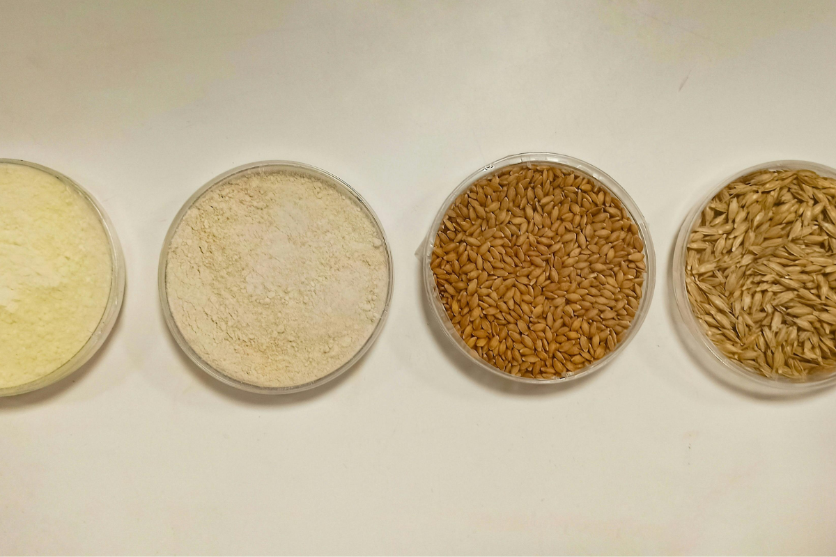 Dietetyk sylwia leszczyńska (33)