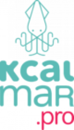 Kcalmar-logo-standard-prostokąt-duże-80x140